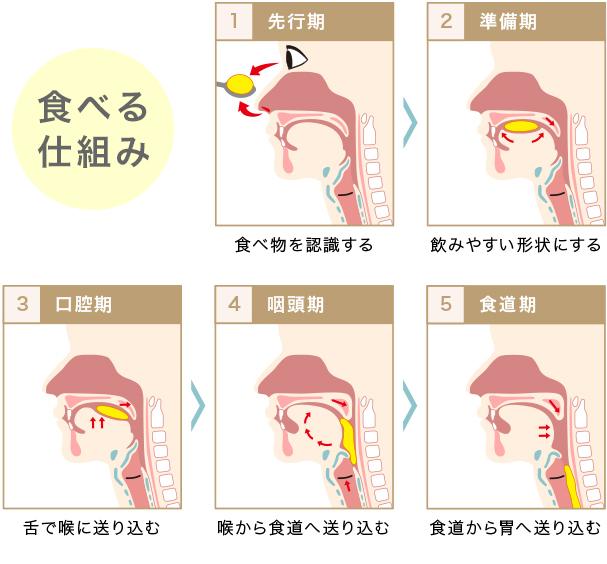 唾 を 飲み込む 回数 が 多い